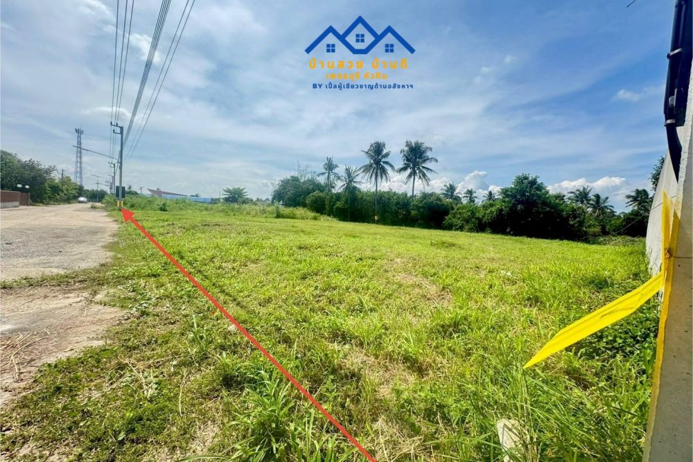 L202602001 ที่ดิน_4