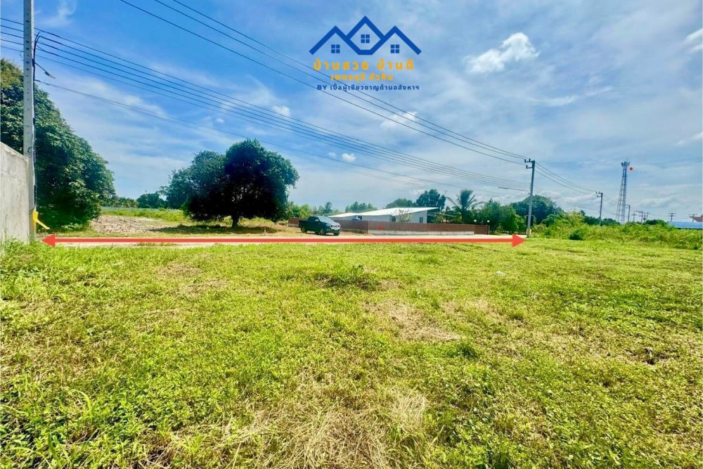 L202602001 ที่ดิน_5