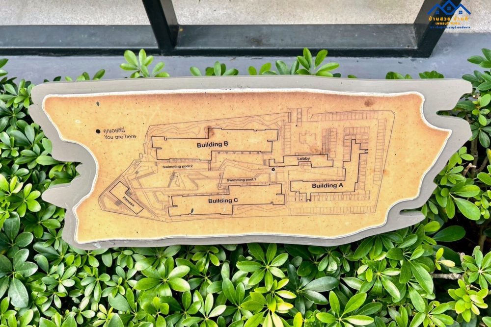 LINE_ALBUM_C001_260115_21