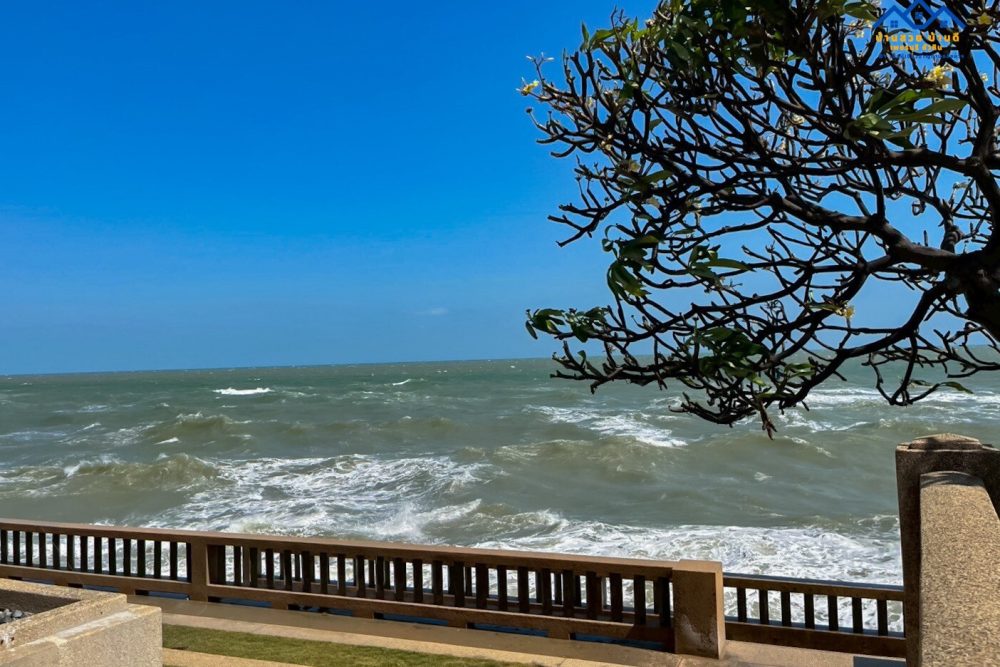 LINE_ALBUM_C002_260115_15