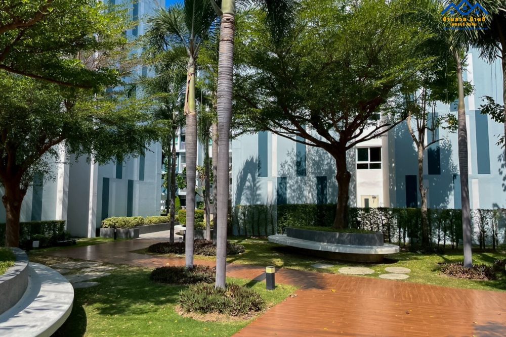 LINE_ALBUM_C002_260115_17