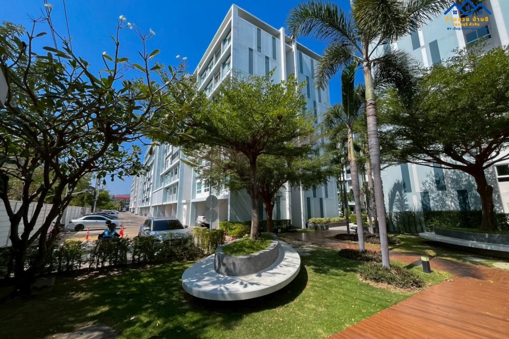 LINE_ALBUM_C002_260115_18