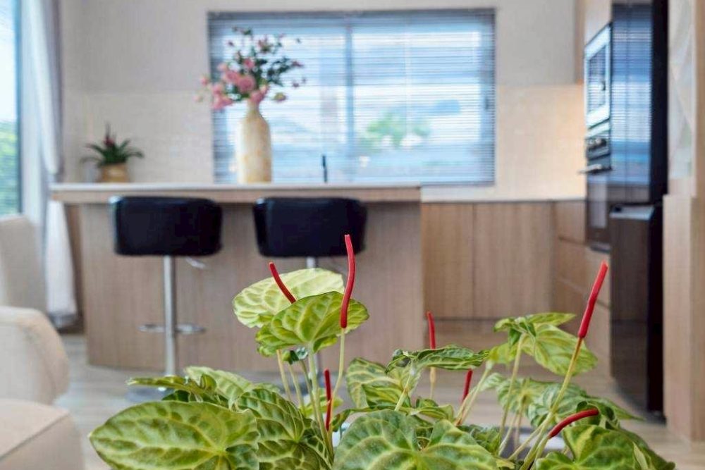 LINE_ALBUM_N202603017 Coco M39_260312_35