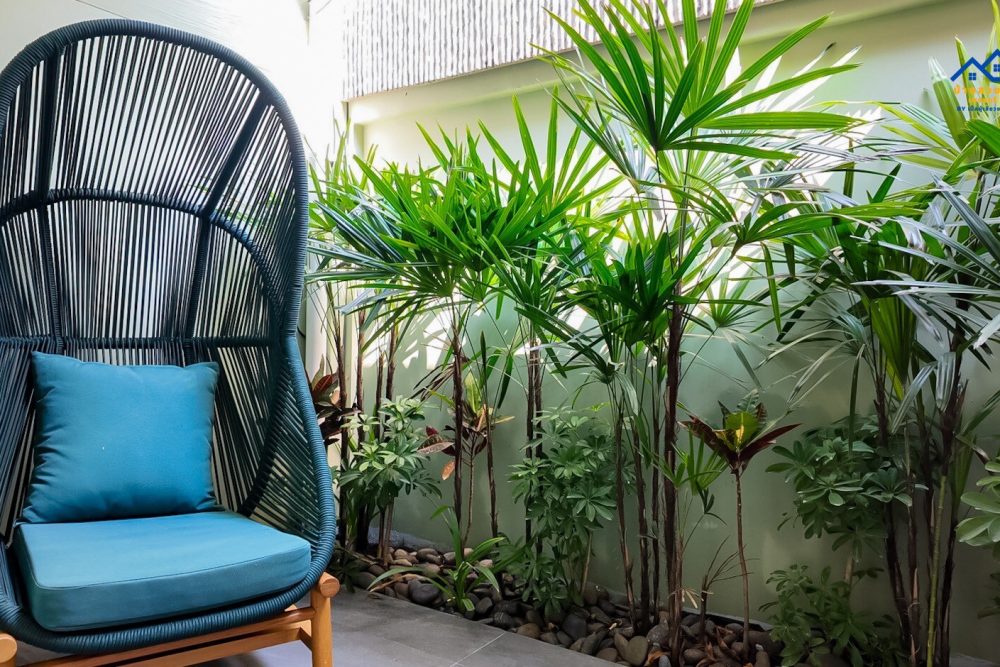 LINE_ALBUM_R202602003_260225_24