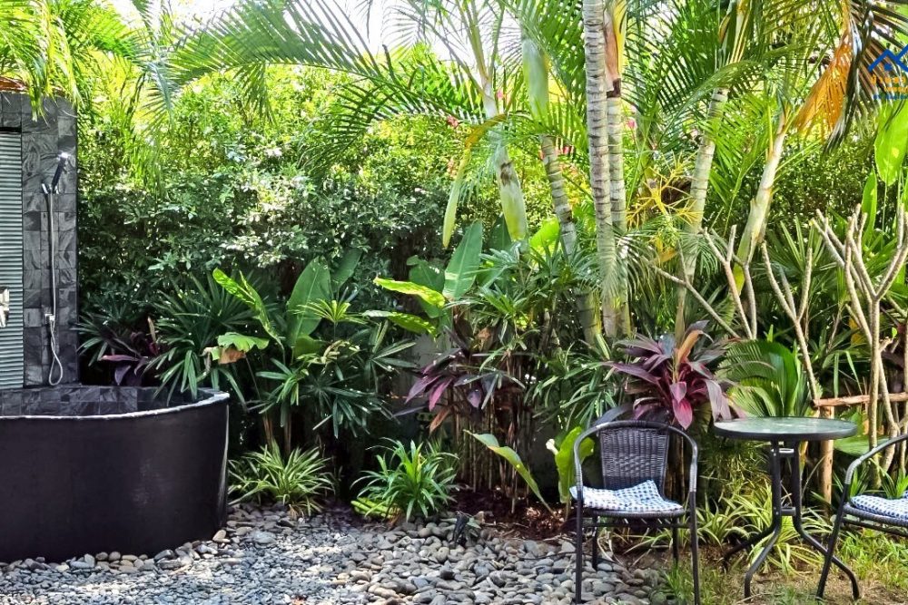 LINE_ALBUM_R202602004_260225_2