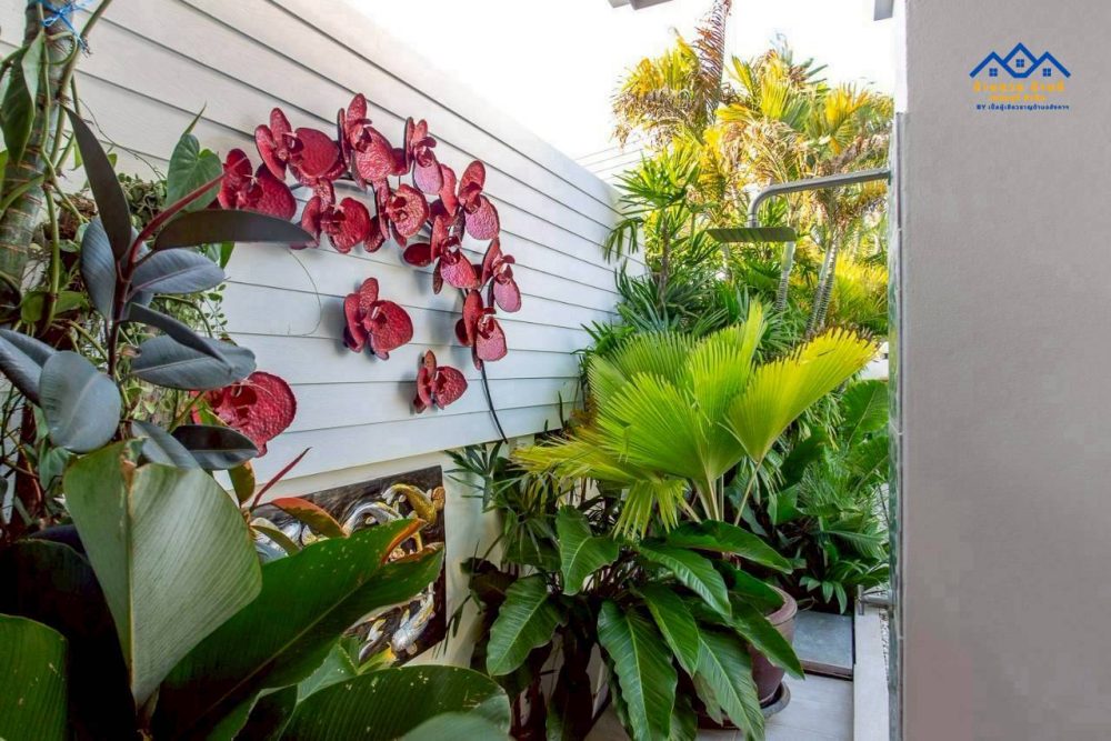 LINE_ALBUM_ดาน่า_260126_1