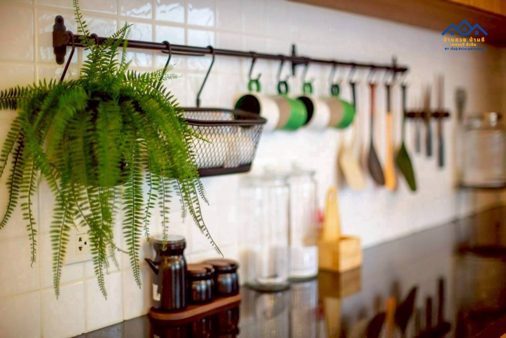 LINE_ALBUM_ดาน่า_260126_29