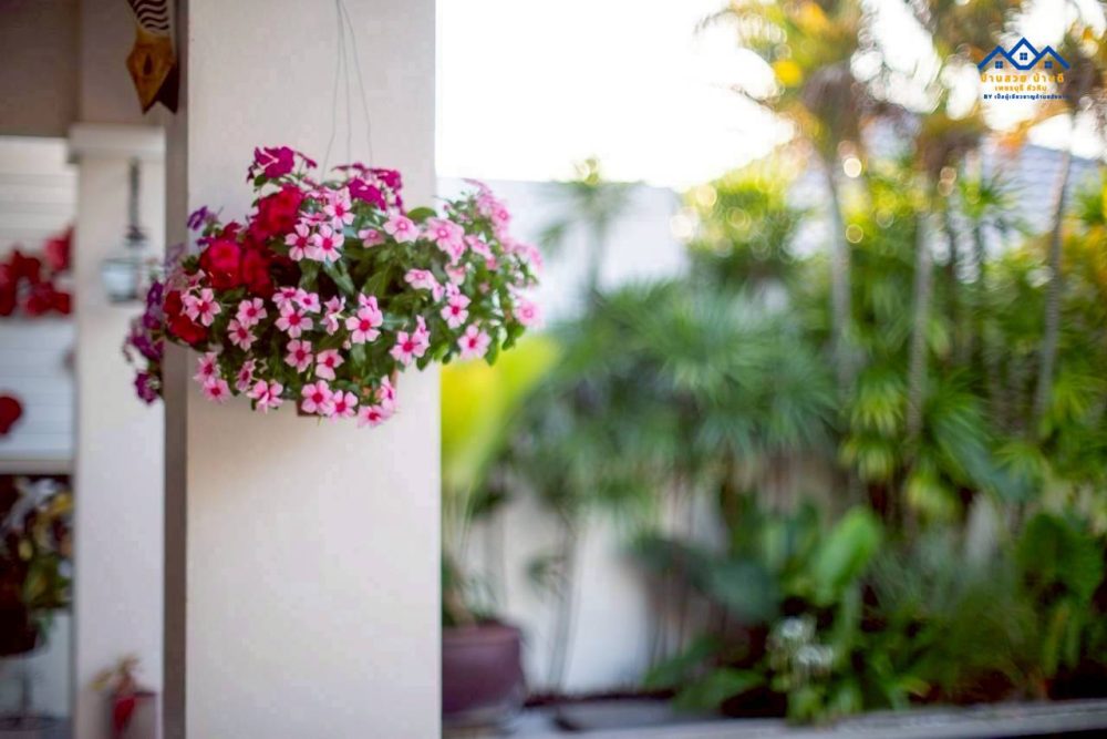 LINE_ALBUM_ดาน่า_260126_36